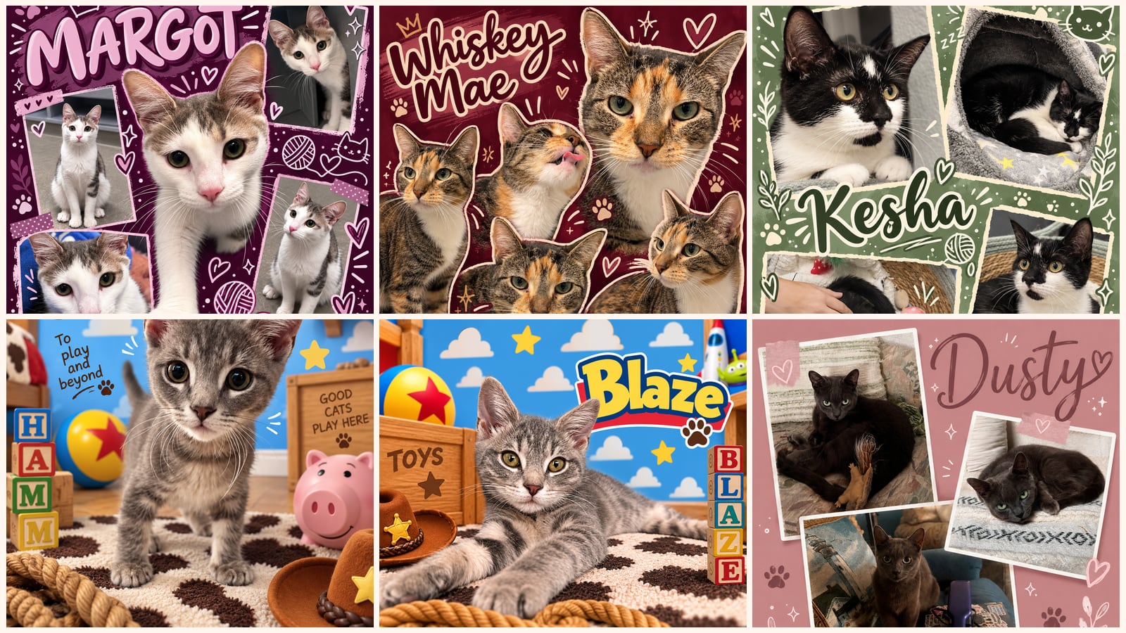 Cats up for adoption near Smyrna, DE