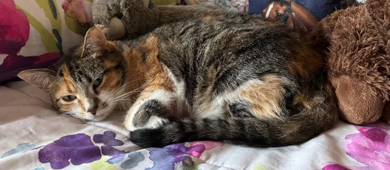 Matilda, photo 2