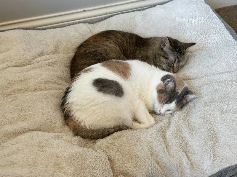 Ethel / Beverly, photo 3