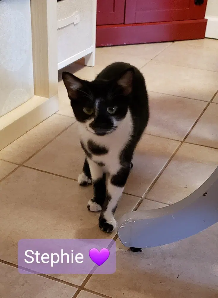 Stephie, photo 3