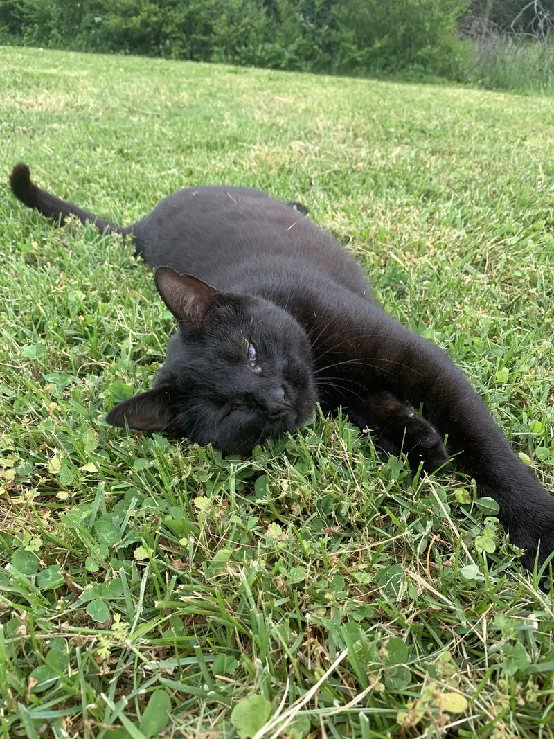 Lucy, photo 2