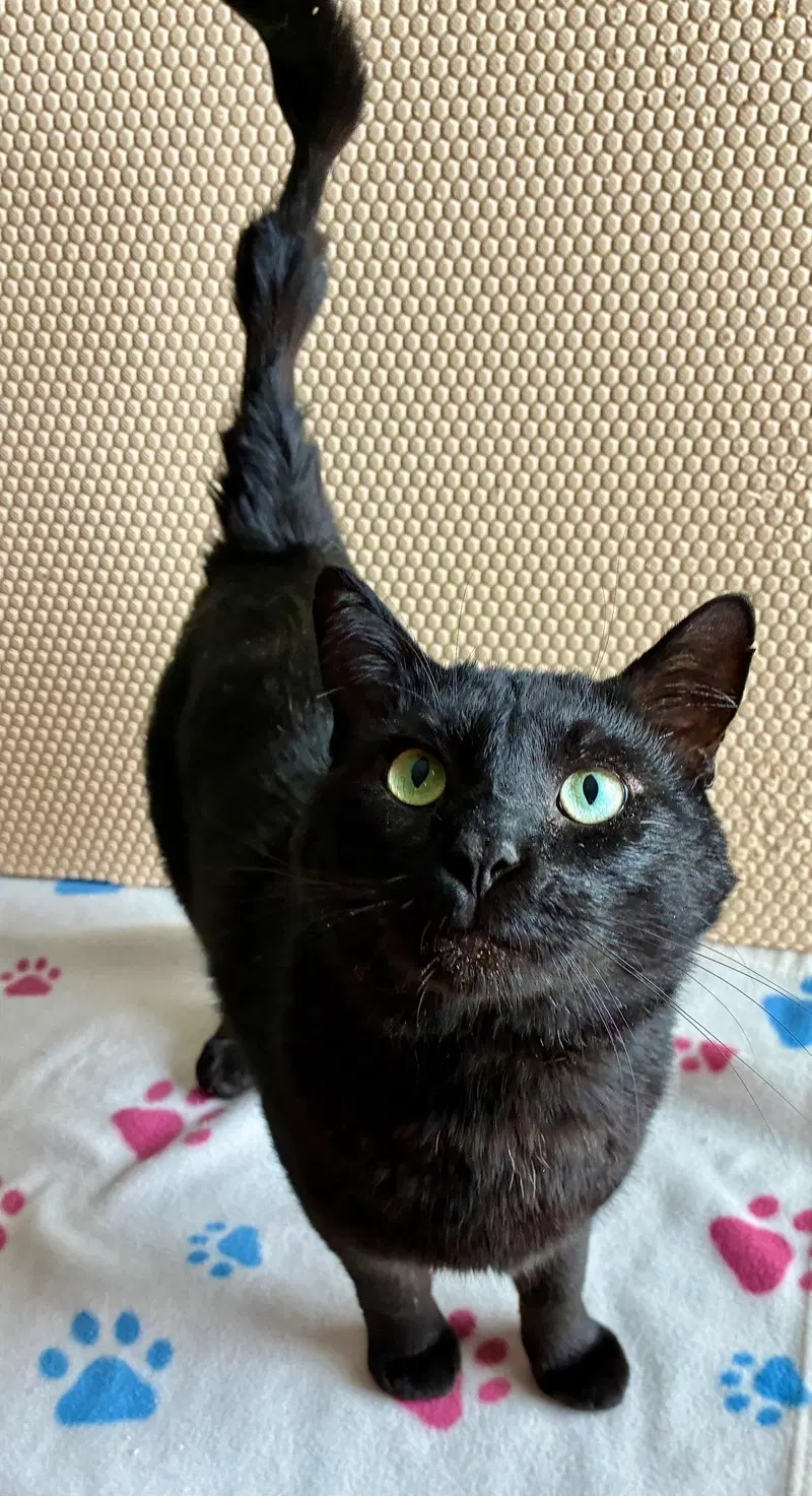 Esteban, photo 8