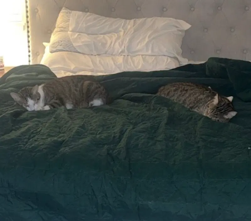 Daisy and Duke, photo 8