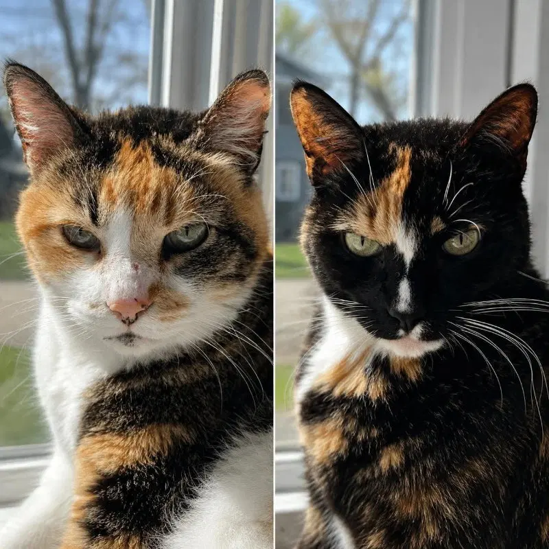 Buttons & Spooky, photo 8