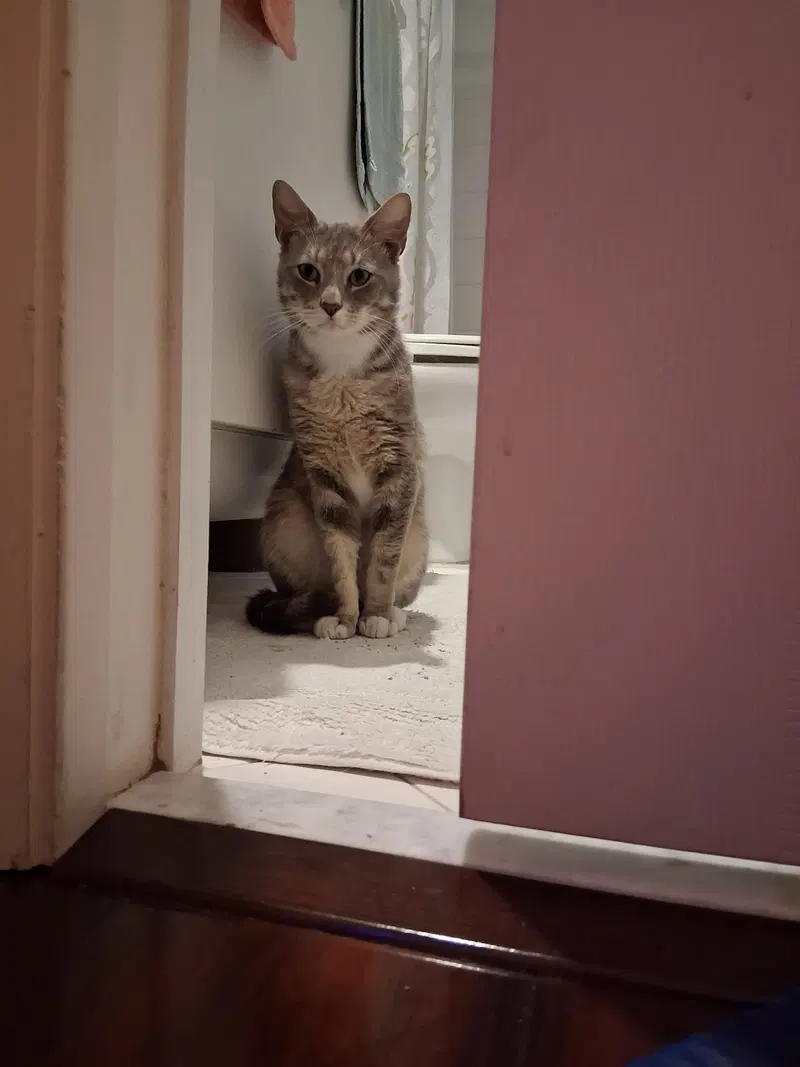 Charlie, photo 2