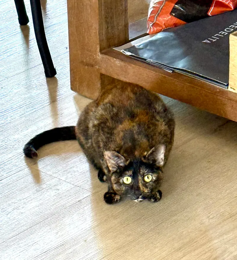 Winky, photo 2