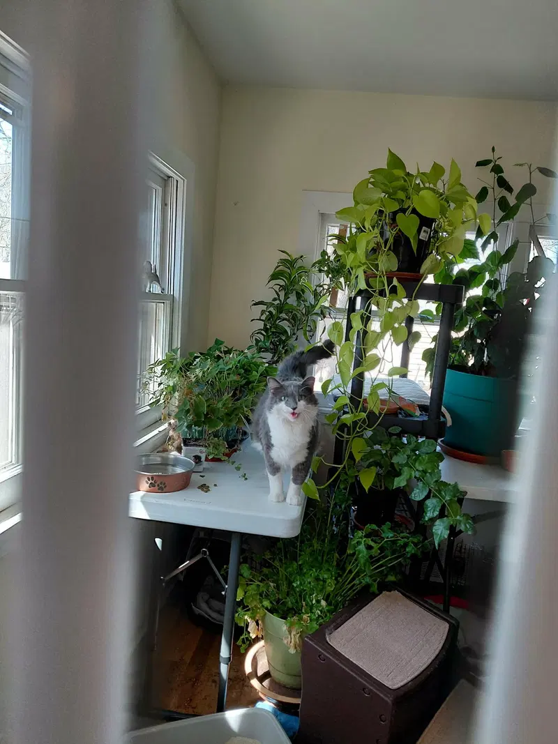 Oliver, photo 5