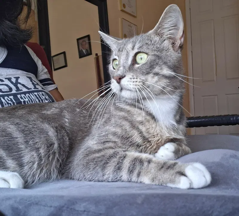 Charlie, photo 5