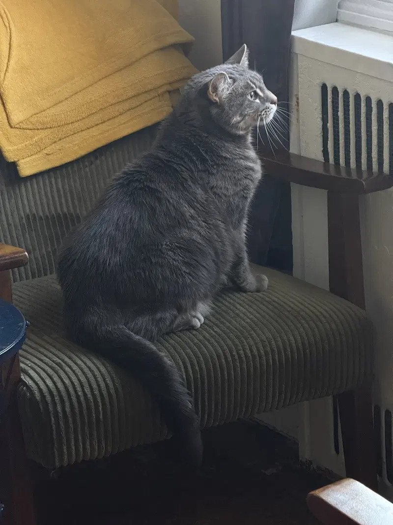Gerty, photo 3