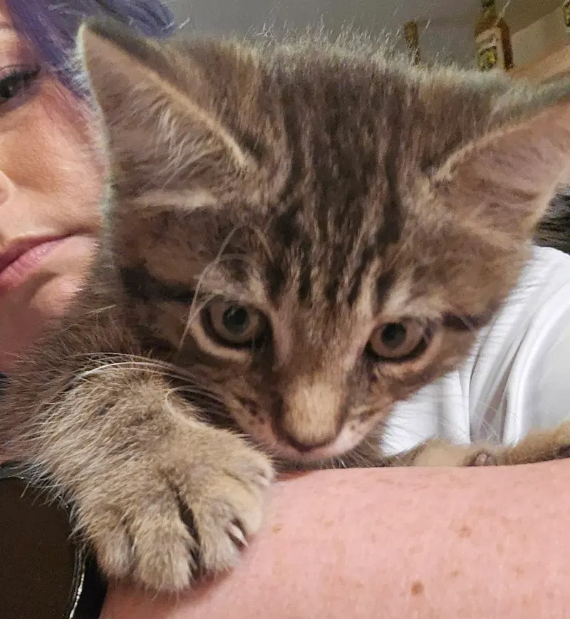 Gina, photo 2