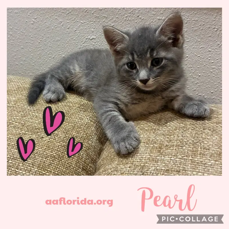 Pearl, photo 3