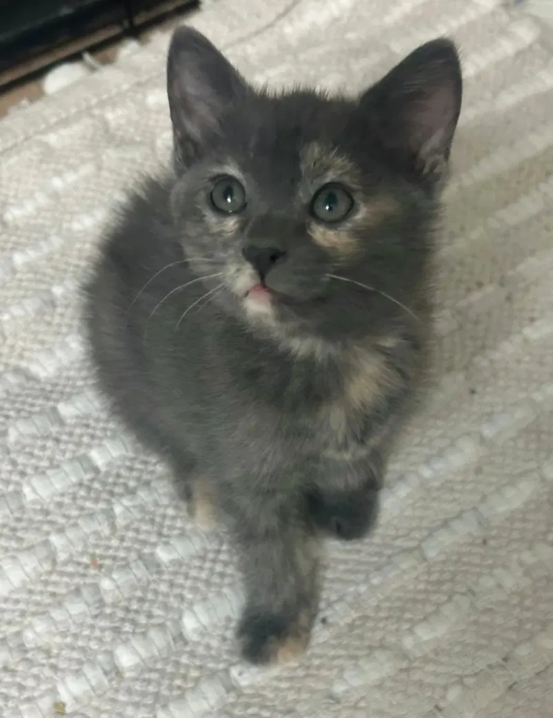 Thelma, photo 2
