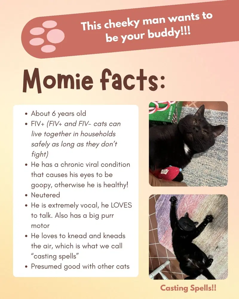 Momie, photo 3