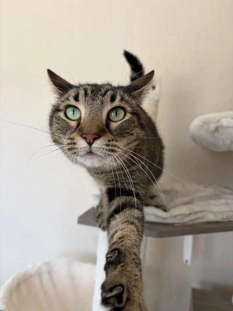 COURTESY POST: Zuko & Bumi, photo 2
