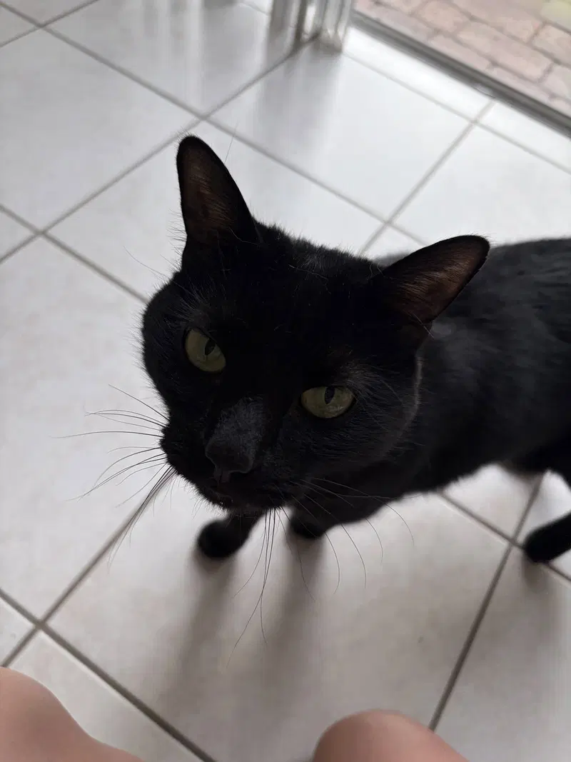 COURTESY POST: Zuko & Bumi, photo 3