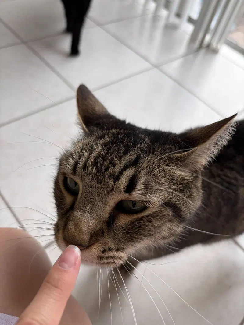 COURTESY POST: Zuko & Bumi, photo 4