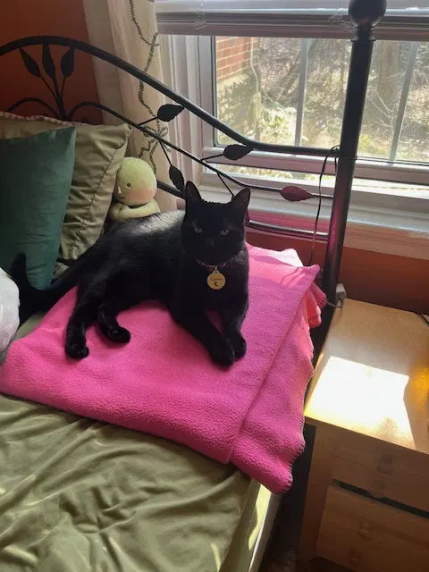 Luna, photo 2