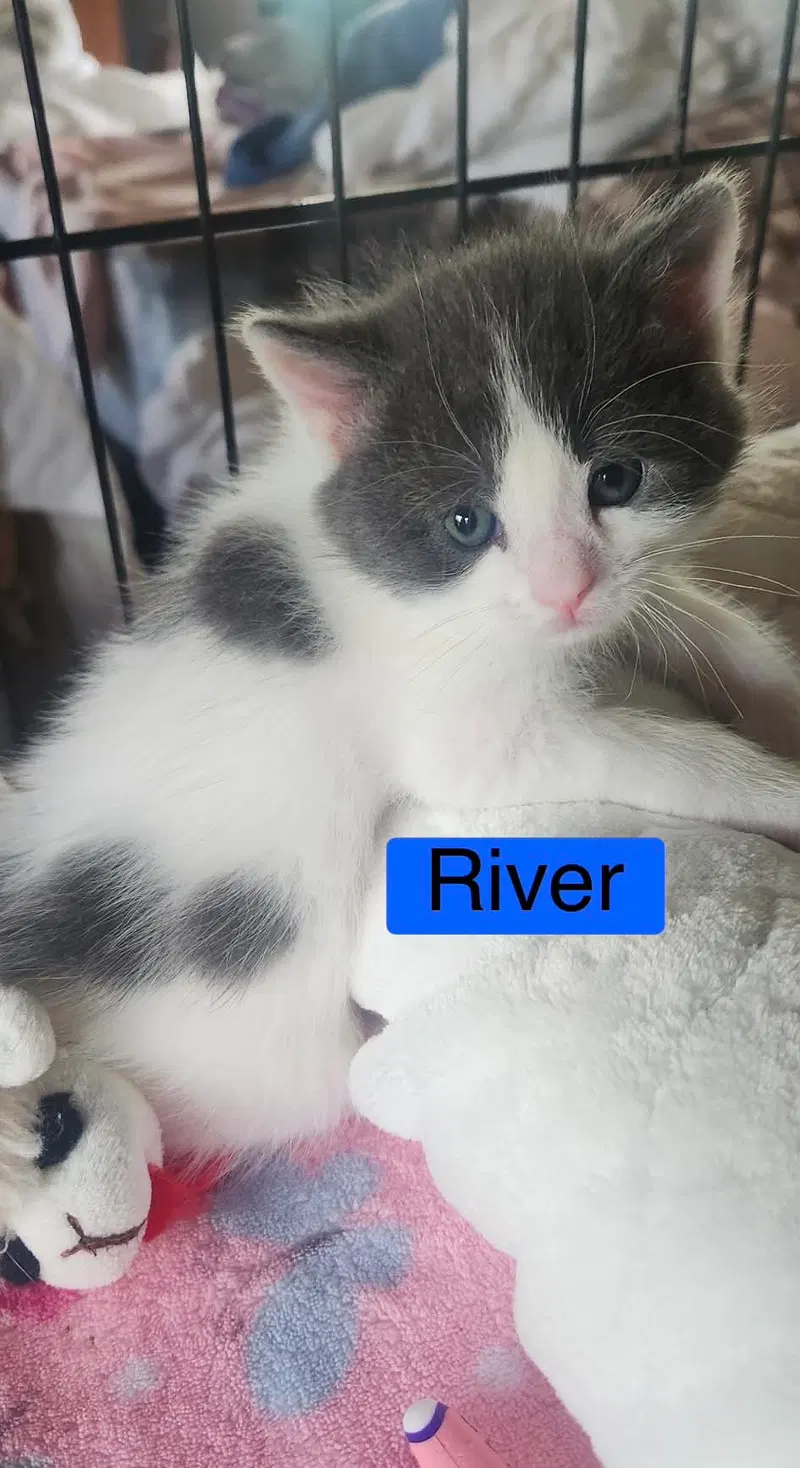 River, photo 2