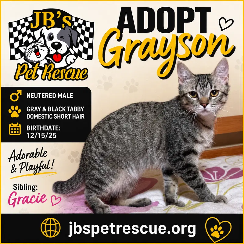 Grayson, photo 2