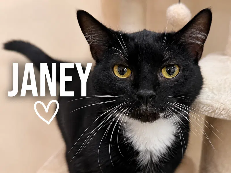 Janey, photo 8