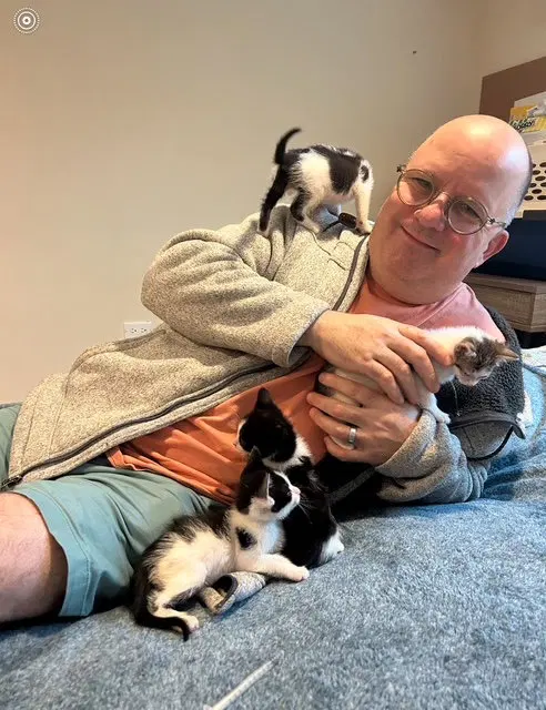 Sailor, Peg leg Pete, Marina AND OTHER KITTENS, photo 2