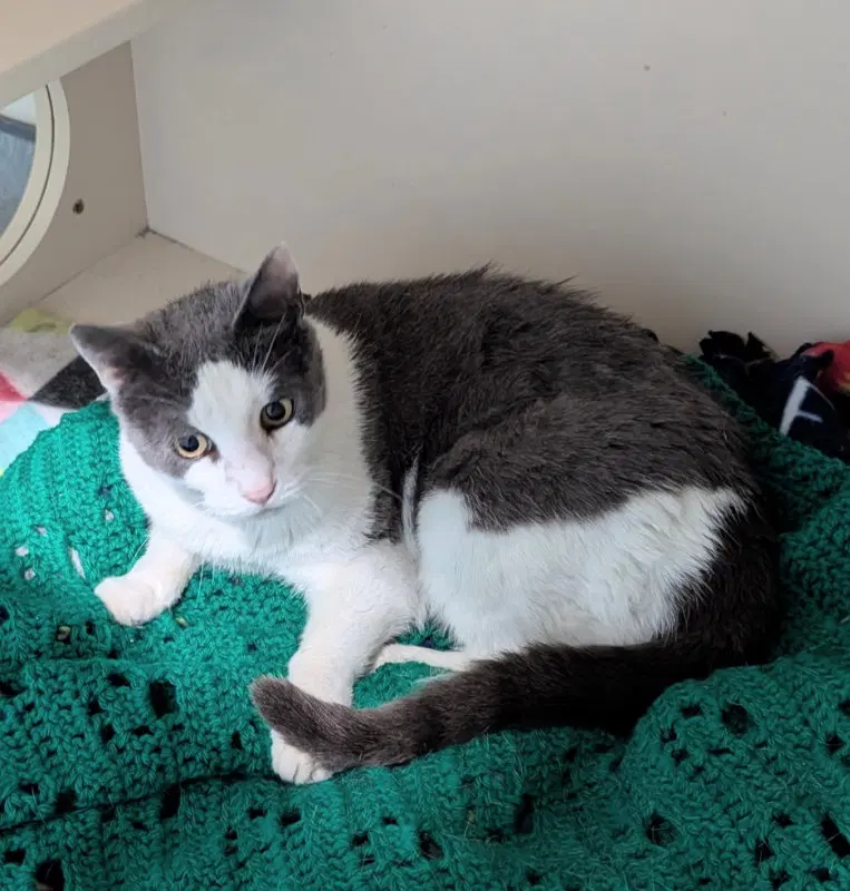 Wilma, photo 2