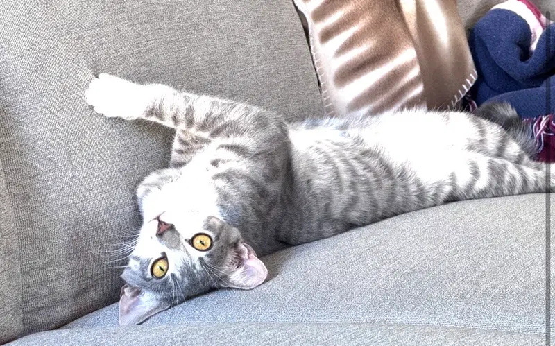 Natasha, photo 2