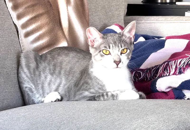 Natasha, photo 3