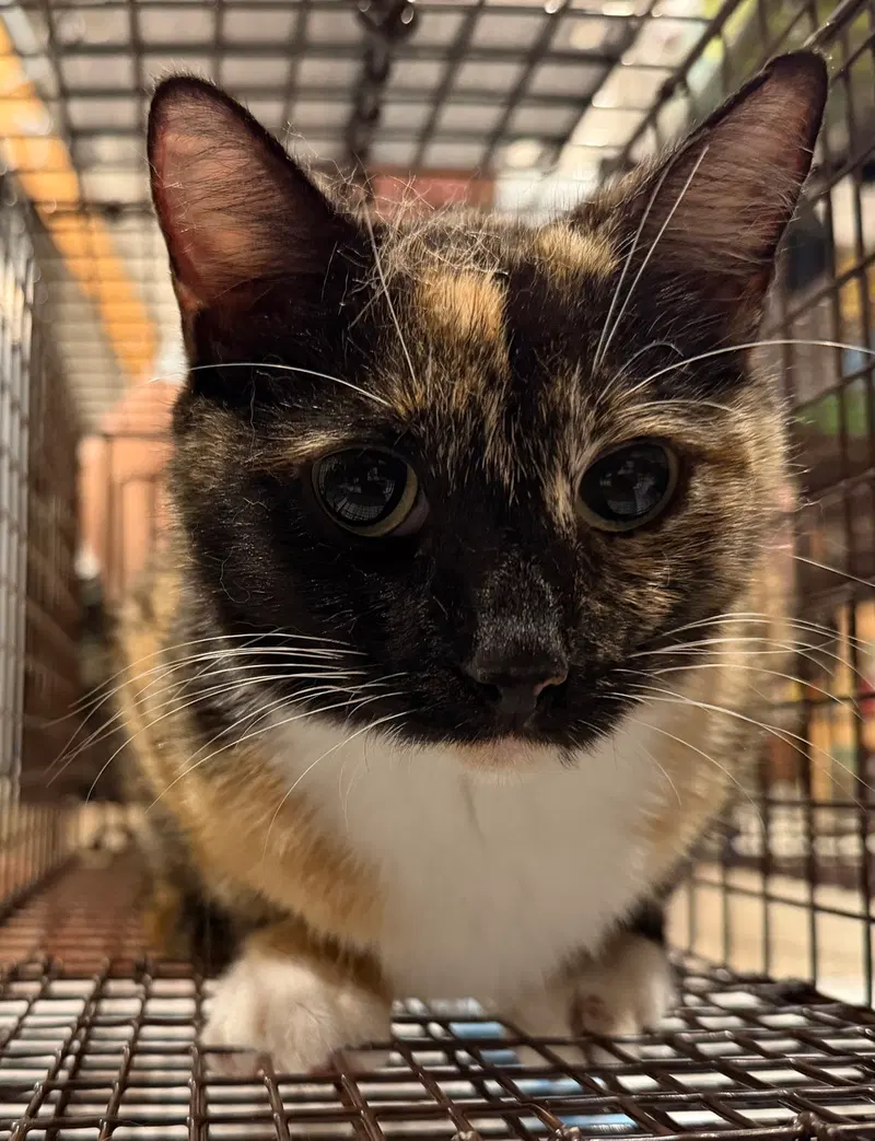 Wilma, photo 3