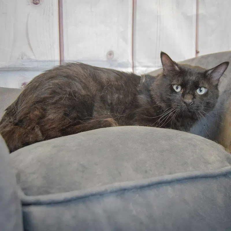 Malachi, photo 5