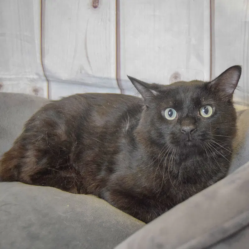 Malachi, photo 6