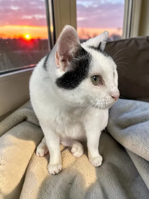 Watch the video of Moo