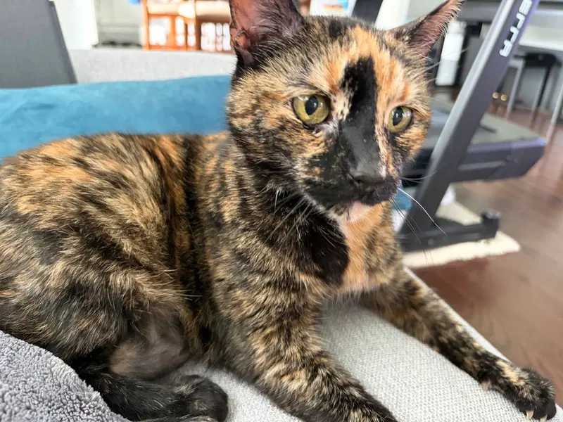 Mabel, photo 2