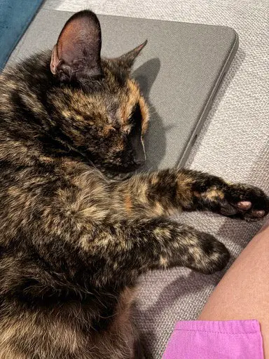 Mabel, photo 5