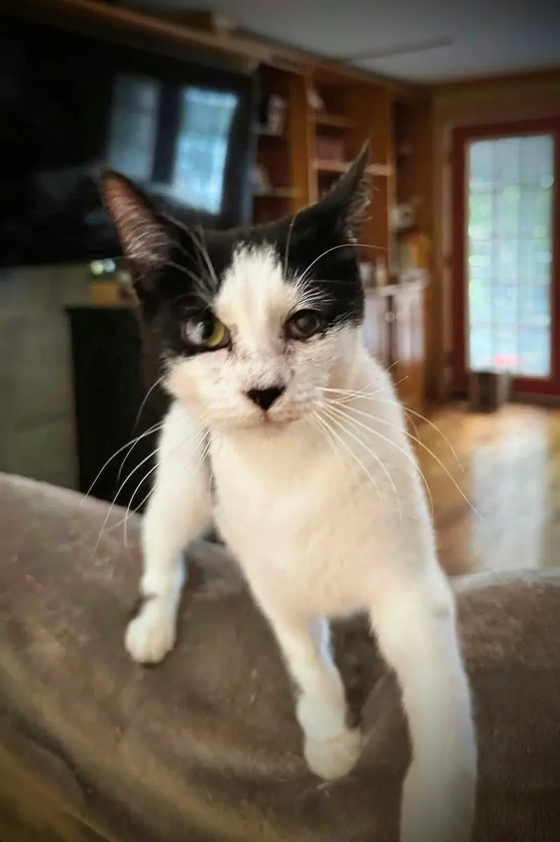 Dottie, photo 3