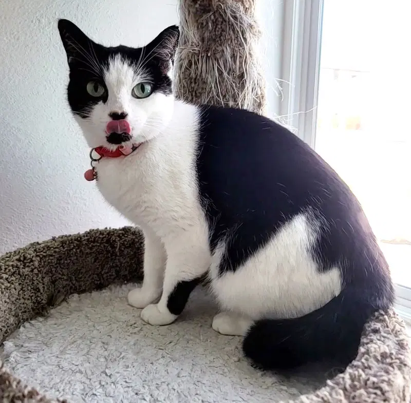 Minnie Moo, photo 7