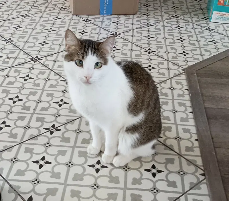 Fred, photo 3