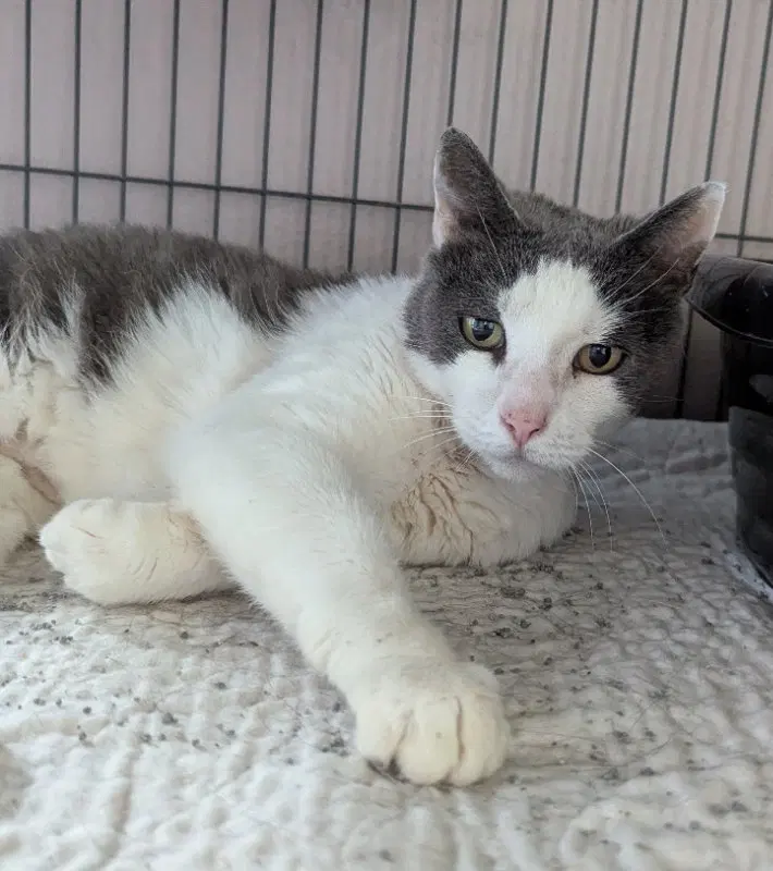 Wilma, photo 3