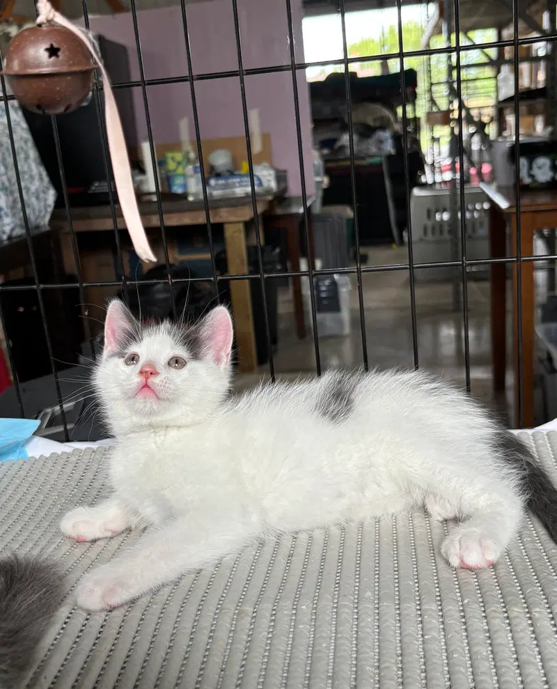 Joaquin, photo 2