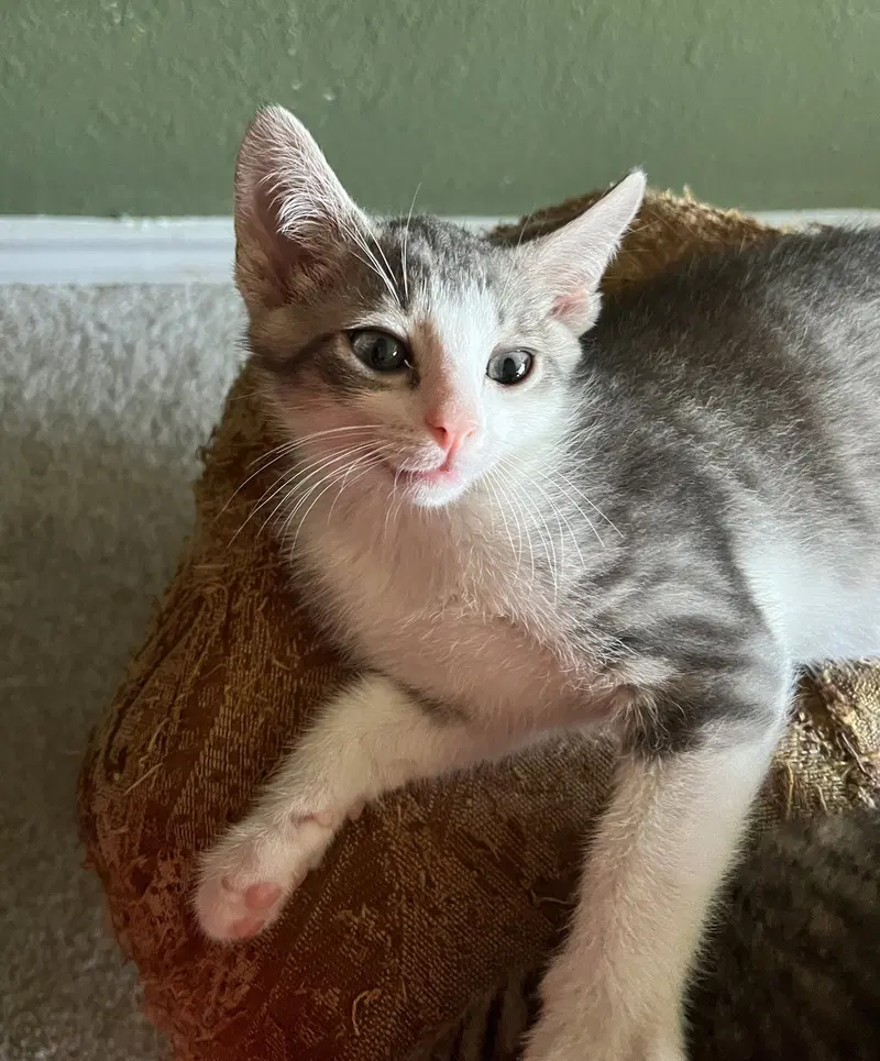 Gus K., photo 2