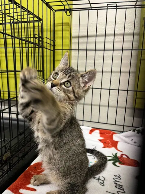 Watch the video of Sunny