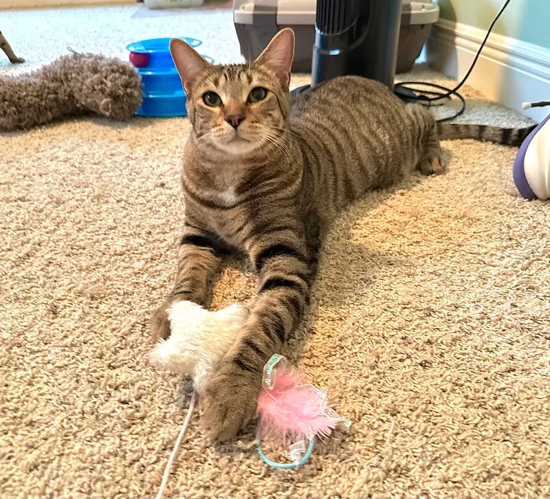 Micah, photo 2
