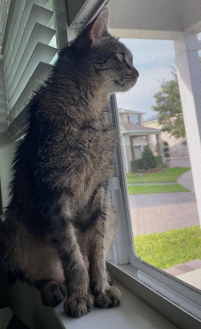 Mr. Whiskers 5.1.21, photo 3