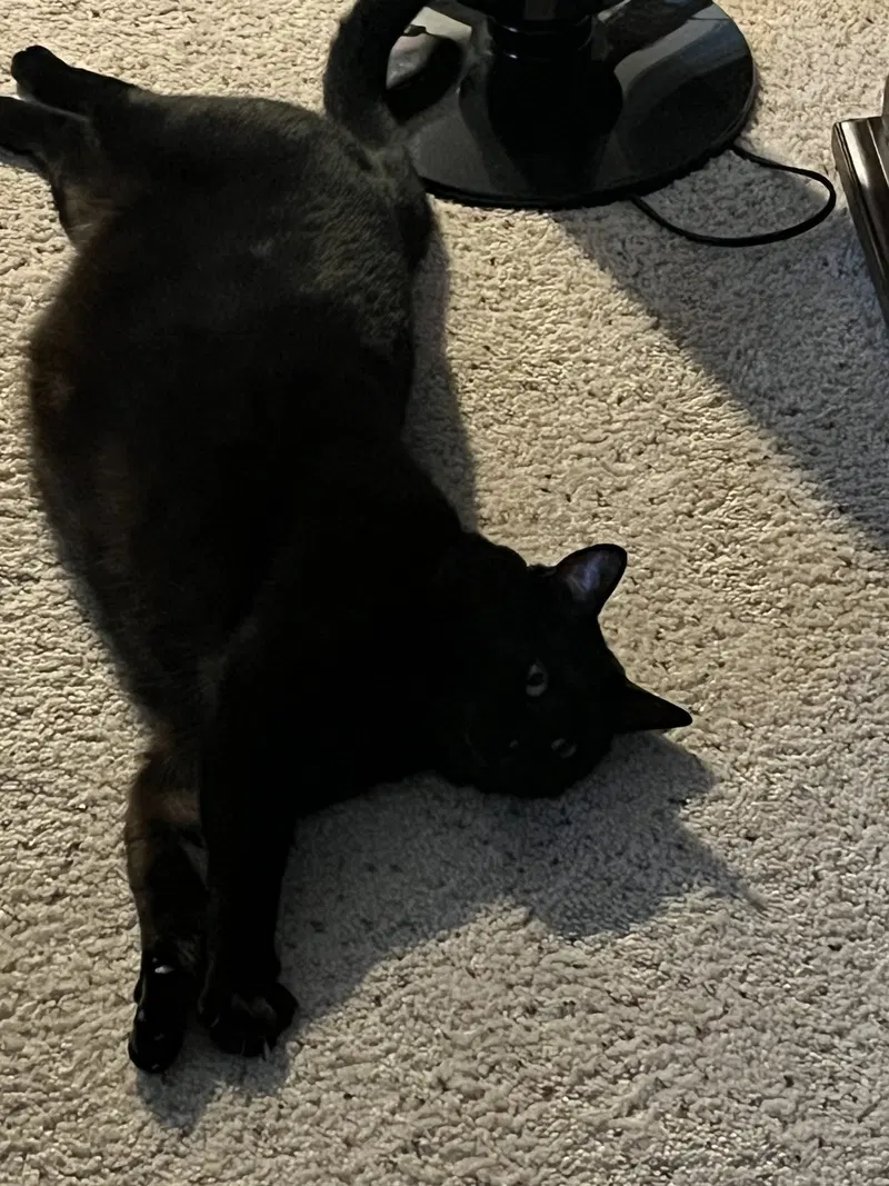 Smoov, photo 7