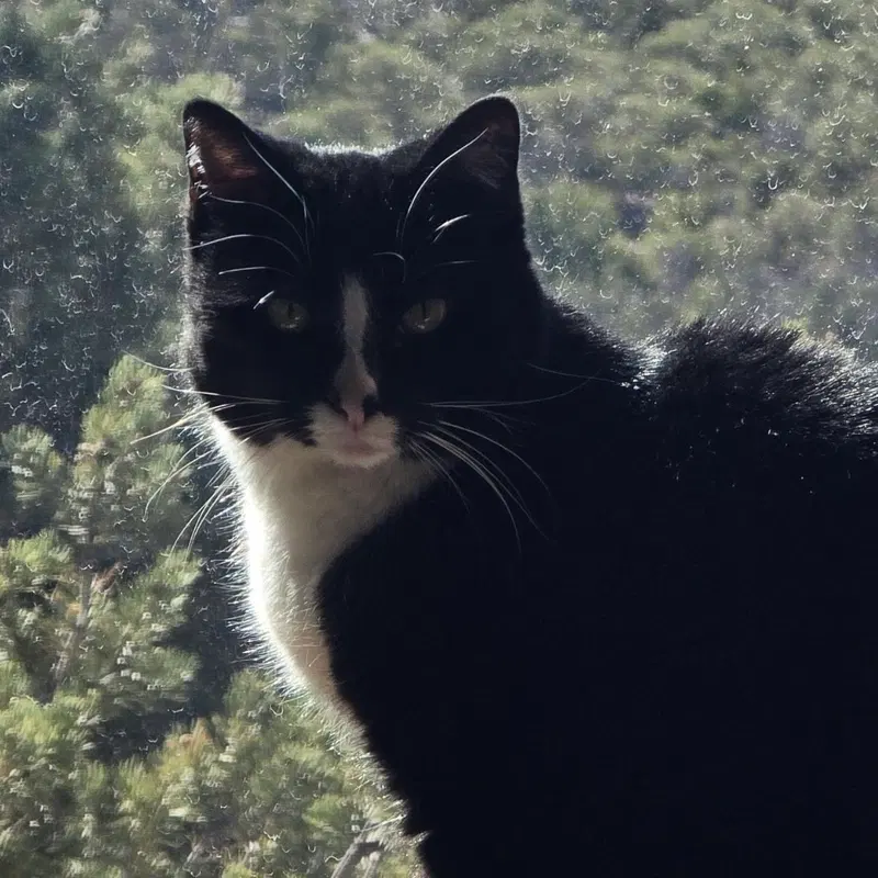 Lucille, photo 3