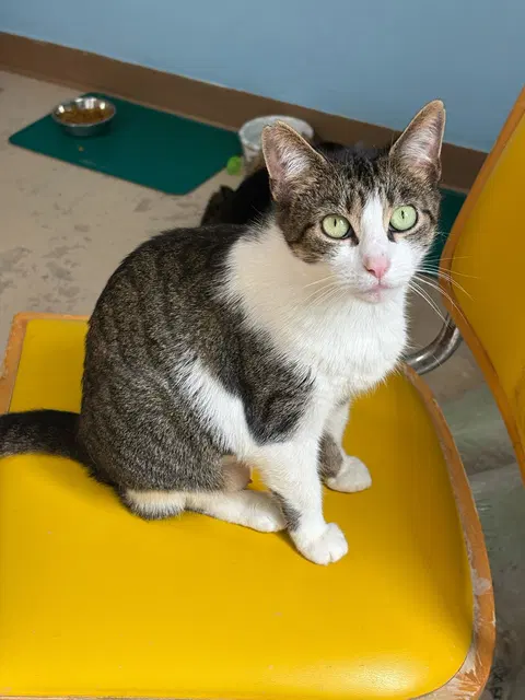 Watch the video of Lily Ann