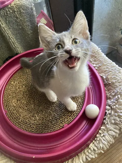 Watch the video of Sally