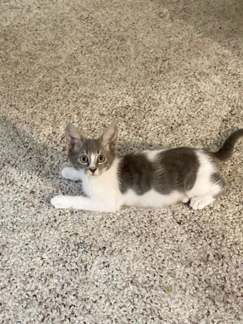 Sally, photo 9