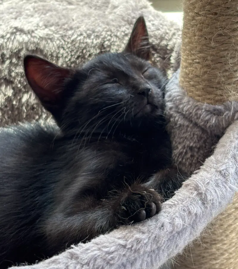 Jacqui, photo 2