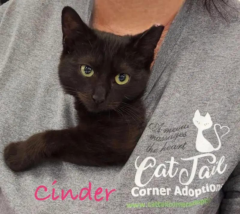 Cinder, photo 3